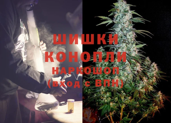 гашик Белокуриха