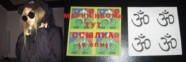 ГАЛЛЮЦИНОГЕННЫЕ ГРИБЫ Верея