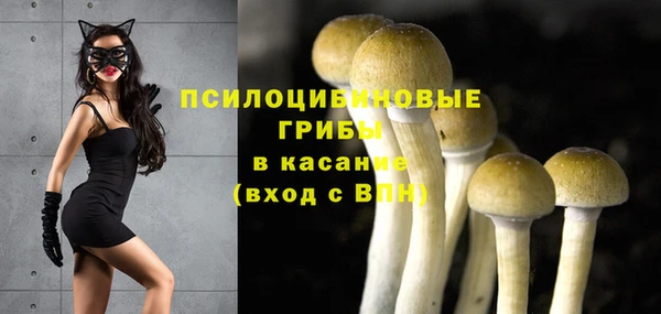 ГАЛЛЮЦИНОГЕННЫЕ ГРИБЫ Верея