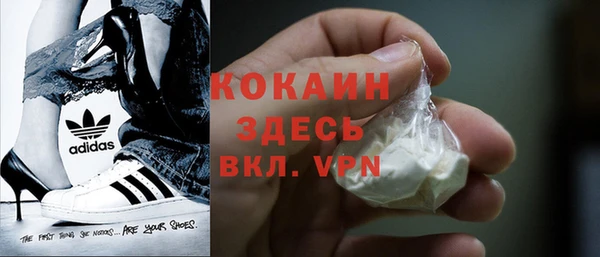 шишки Бородино