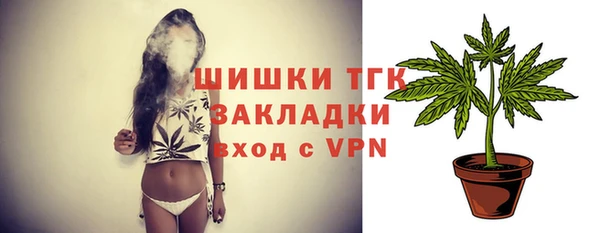 ГАЛЛЮЦИНОГЕННЫЕ ГРИБЫ Верея