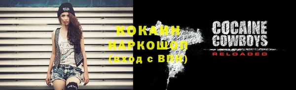 крисы Верхний Тагил