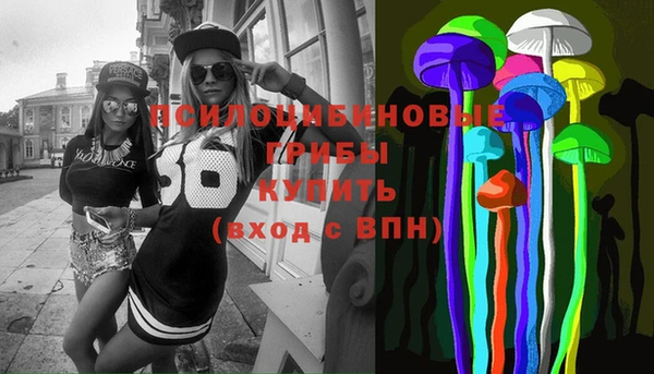 шишки Бородино