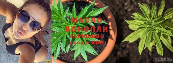 шишки Бородино