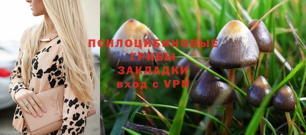 герыч Бронницы