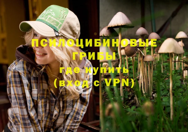 герыч Бронницы
