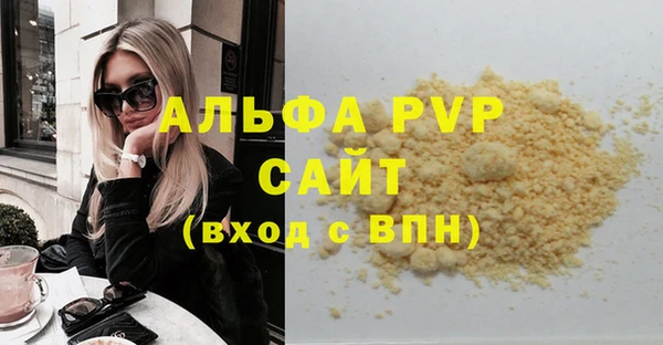 шишки Бородино