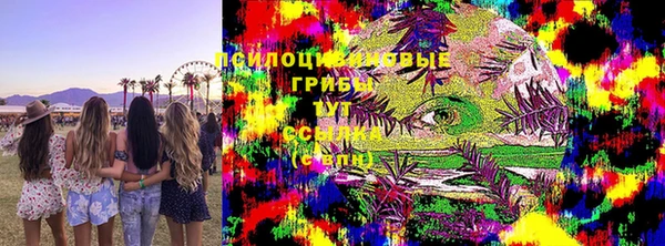 герыч Бронницы