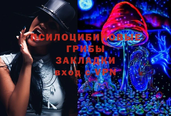 шишки Бородино