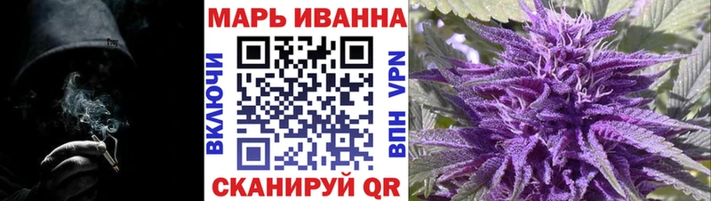 Бошки марихуана Amnesia  где купить   Володарск 